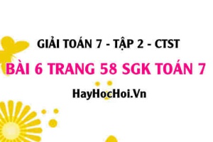 Giải bài 6 trang 58 Toán 7 tập 2 SGK Chân trời sáng tạo